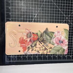 SZA 542 Merch License Plate Floral wall Art Decor Rapper Artist Peach Pretty